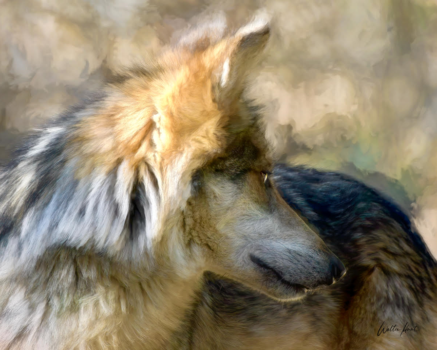 Contemplation