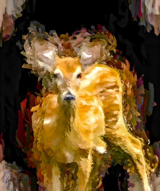 Doe in Abstract